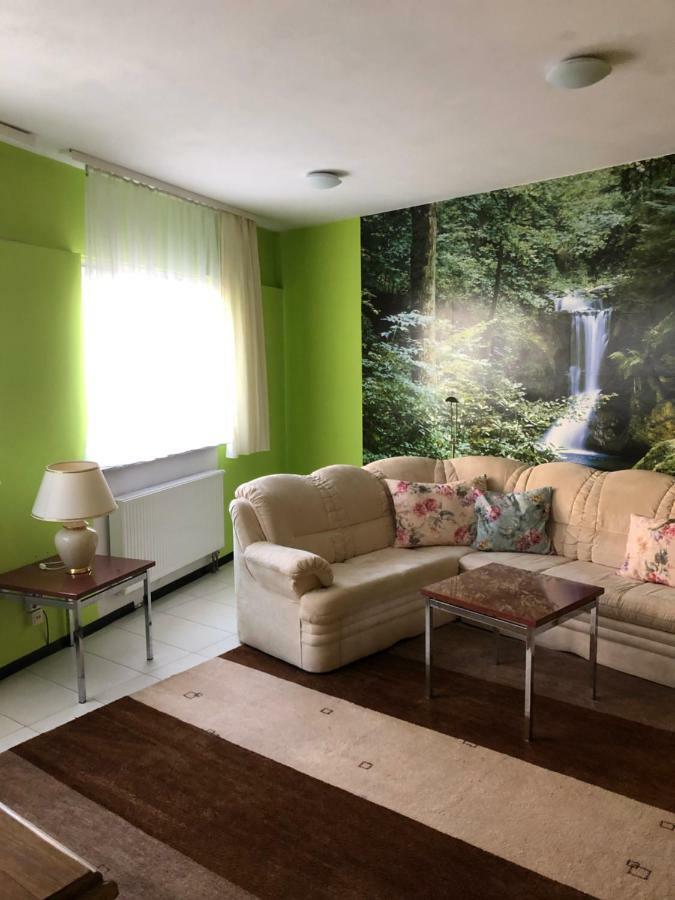 Einfache Monteurwohnung Mit Wlan Und Sat Tv, Netflix Frankweiler Exteriör bild